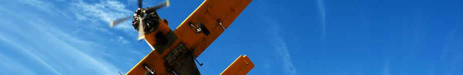 Security Hero Rotating Header Image